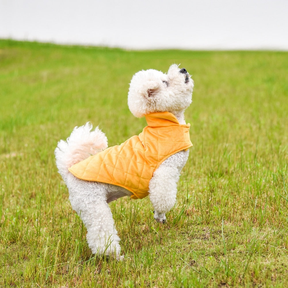 small-dog-winter-cpat-warm-jacket-protection-vest-wickedyo 5